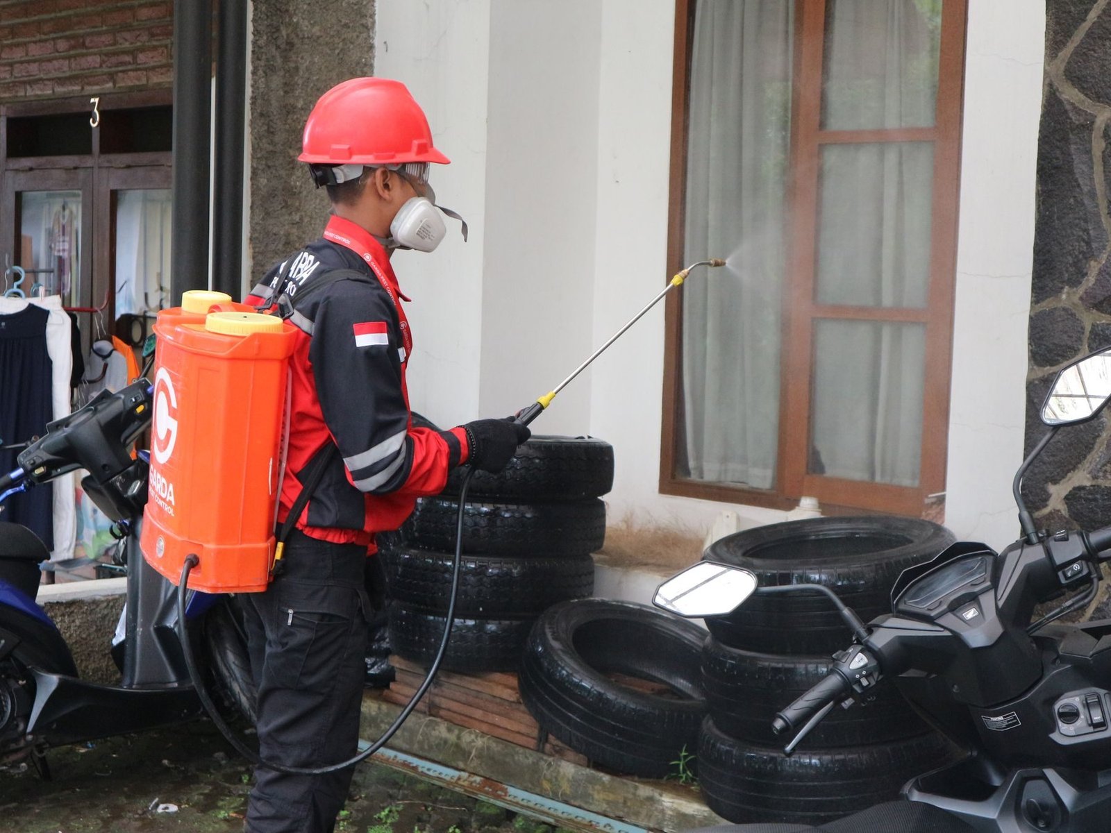 Capital Pest Control India: design work
